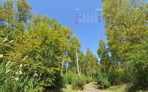 498954 (a): :1920x1200